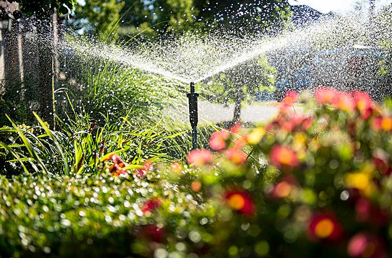 garden bore water