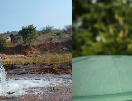 Bore Water Vs Rainwater Tanks For Your Home: Which Is Better?